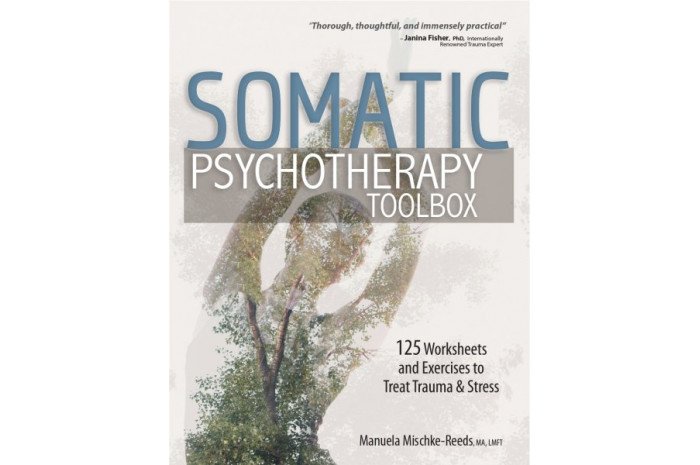 Somatic Psychotherapy Toolbox: 125 Worksheets and Exercises to Treat Trauma & Stress Somatic Psychotherapy Toolbox: 125 Worksheets and Exercises to Treat Trauma & Stress