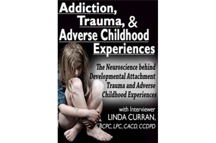 Addiction, Trauma, & Adverse Childhood Experiences (ACEs) DVD Addiction, Trauma, & Adverse Childhood Experiences (ACEs) DVD