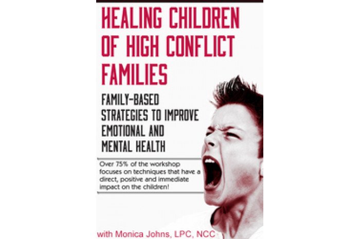 Healing Children of High Conflict Families DVD Healing Children of High Conflict Families DVD