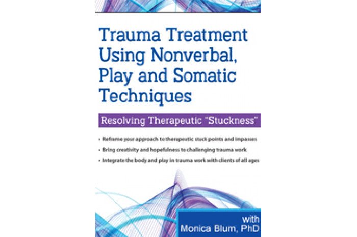 Trauma Treatment: Using Nonverbal, Play and Somatic Techniques DVD Trauma Treatment: Using Nonverbal, Play and Somatic Techniques DVD