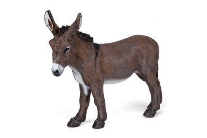 Donkey Donkey