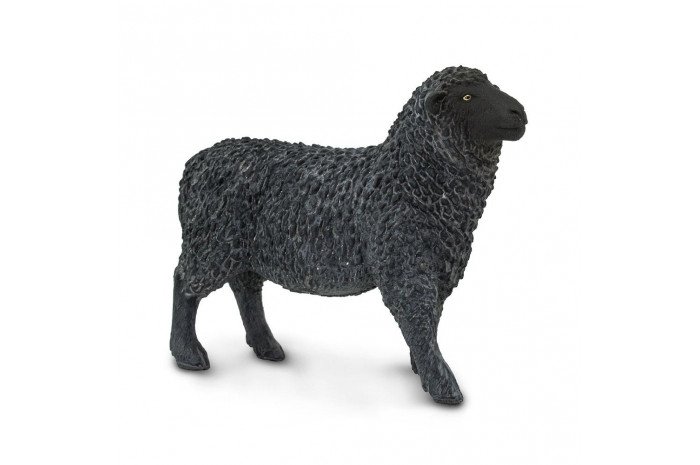 Black Sheep Black Sheep