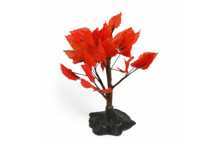 Fall Tree Fall Tree