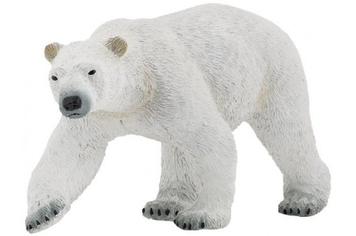 Polar Bear Polar Bear