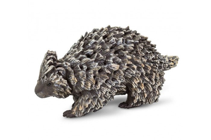 Porcupine Porcupine
