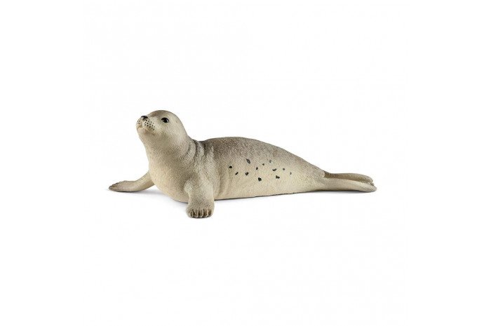 Seal Seal