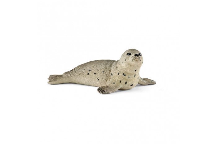 Seal cub Seal cub