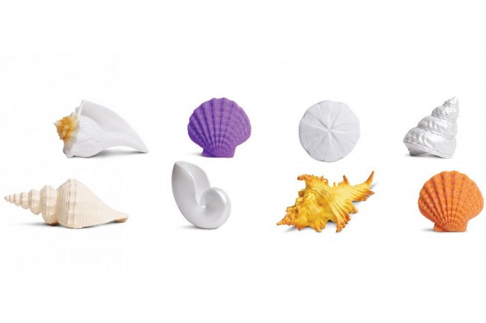 Seashells Toob (8 piece) Seashells Toob (8 piece)