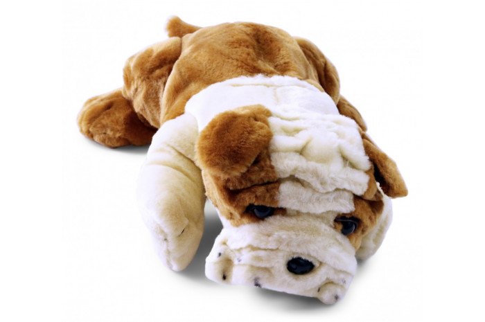 Weighted Bulldog Weighted Bulldog