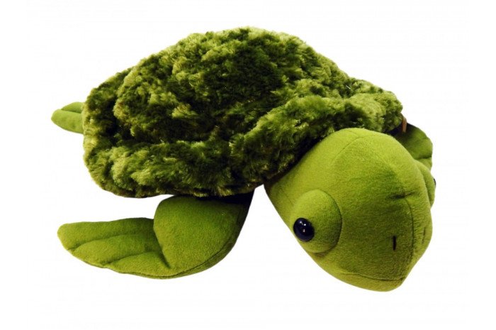 Weighted Sea Turtle Weighted Sea Turtle