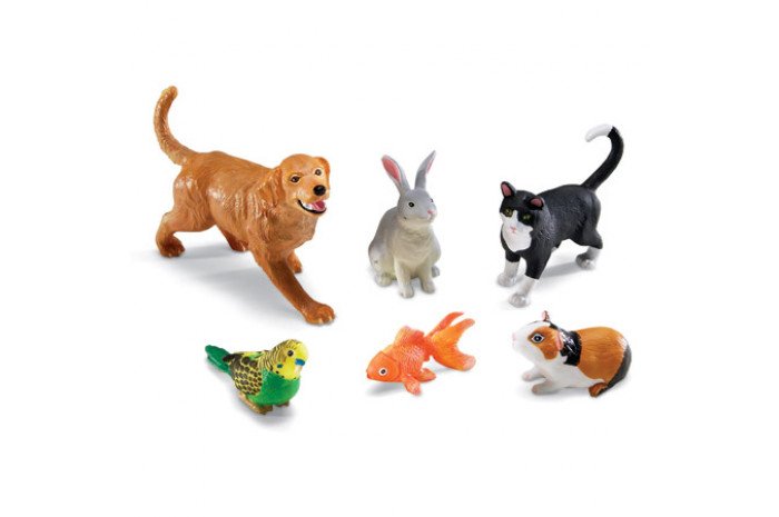 Jumbo Pets Jumbo Pets