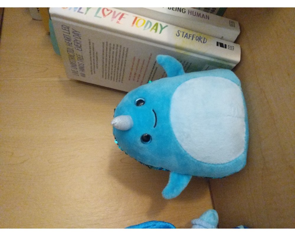weighted sequin pet