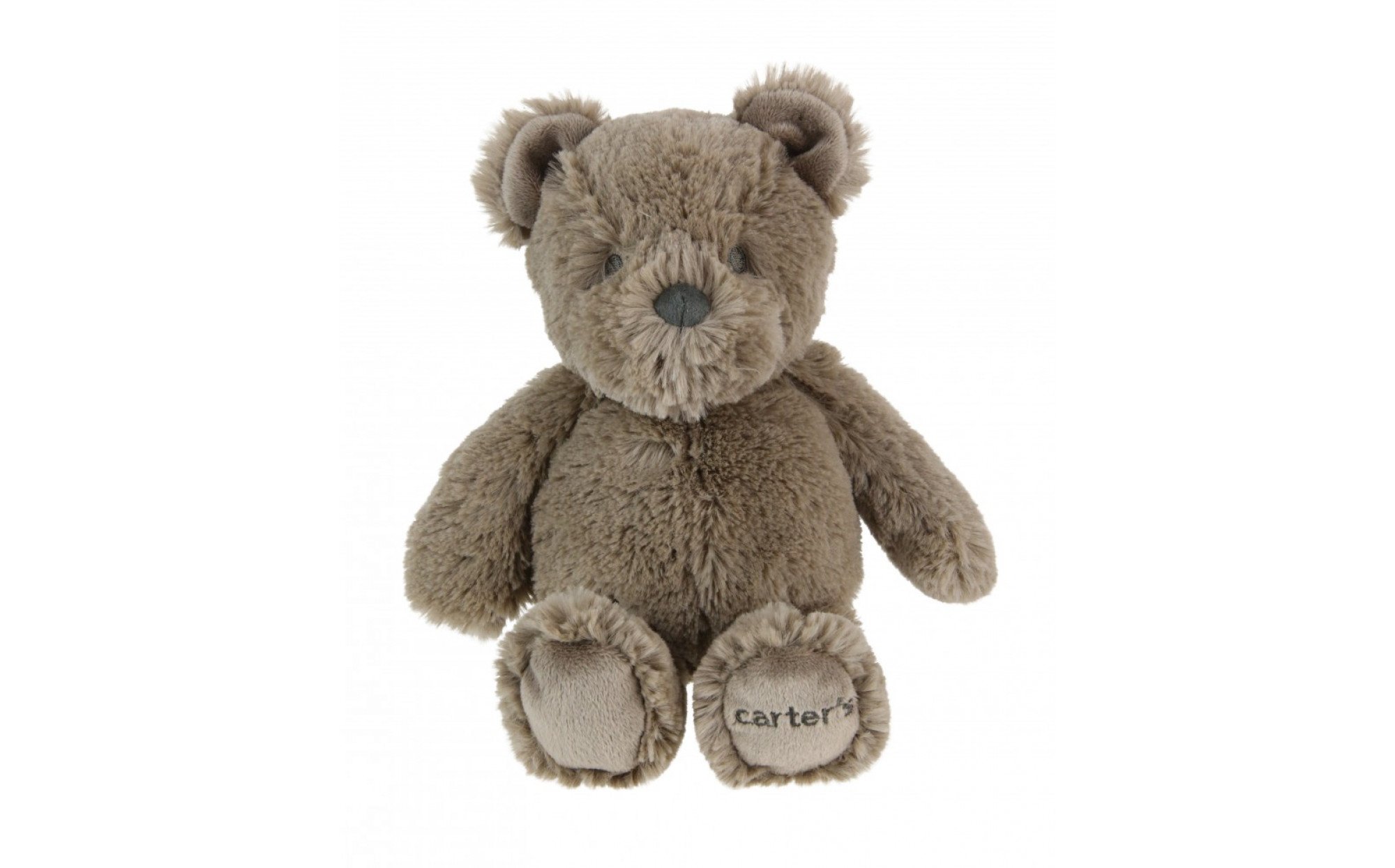 teddy bear brown