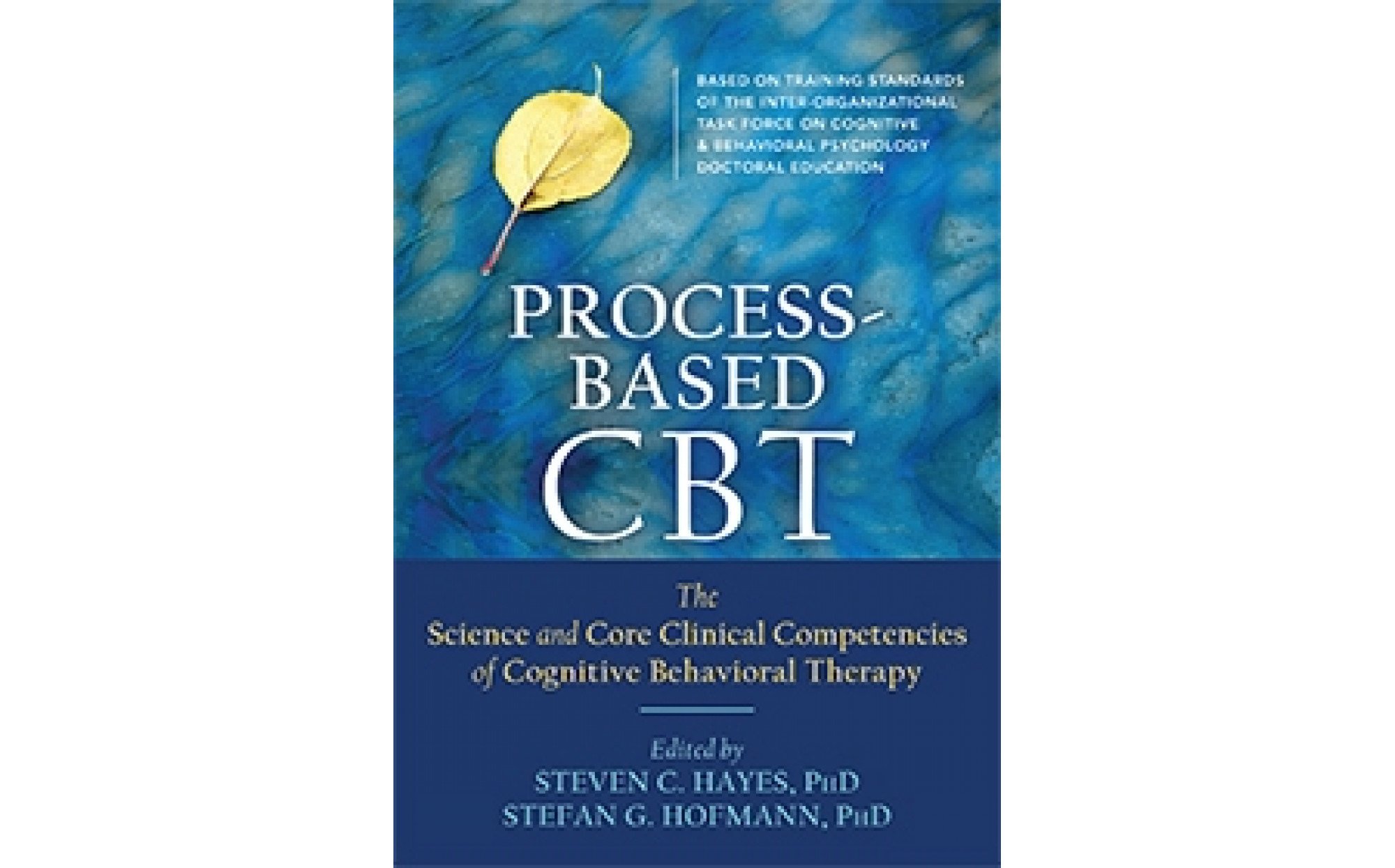 Process-Based CBT: The Science And Core Clinical Competencies Of ...