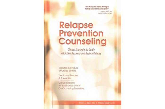 Relapse Prevention Counseling: Clinical Strategies To Guide Addiction ...