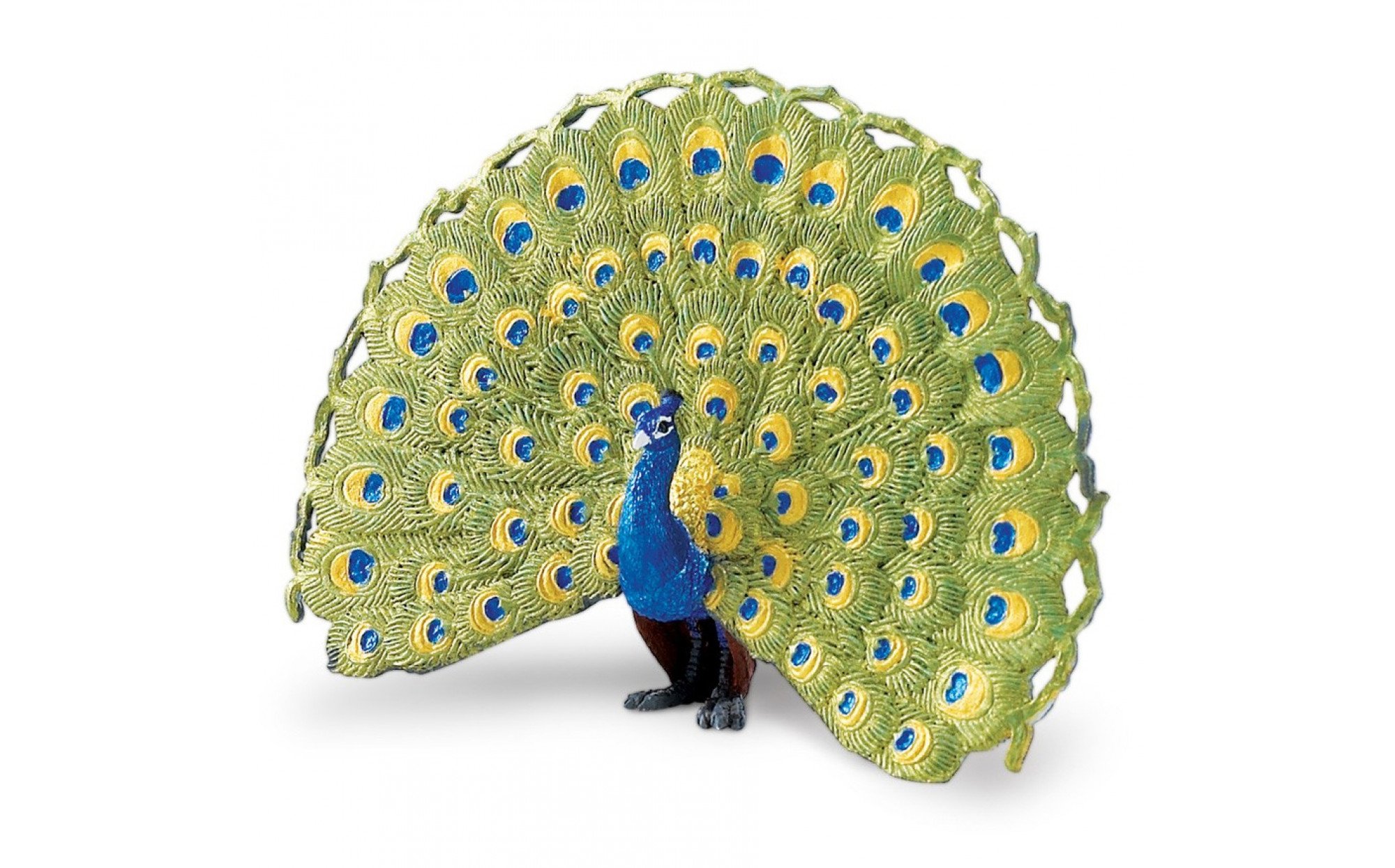Peacock sand tray therapy