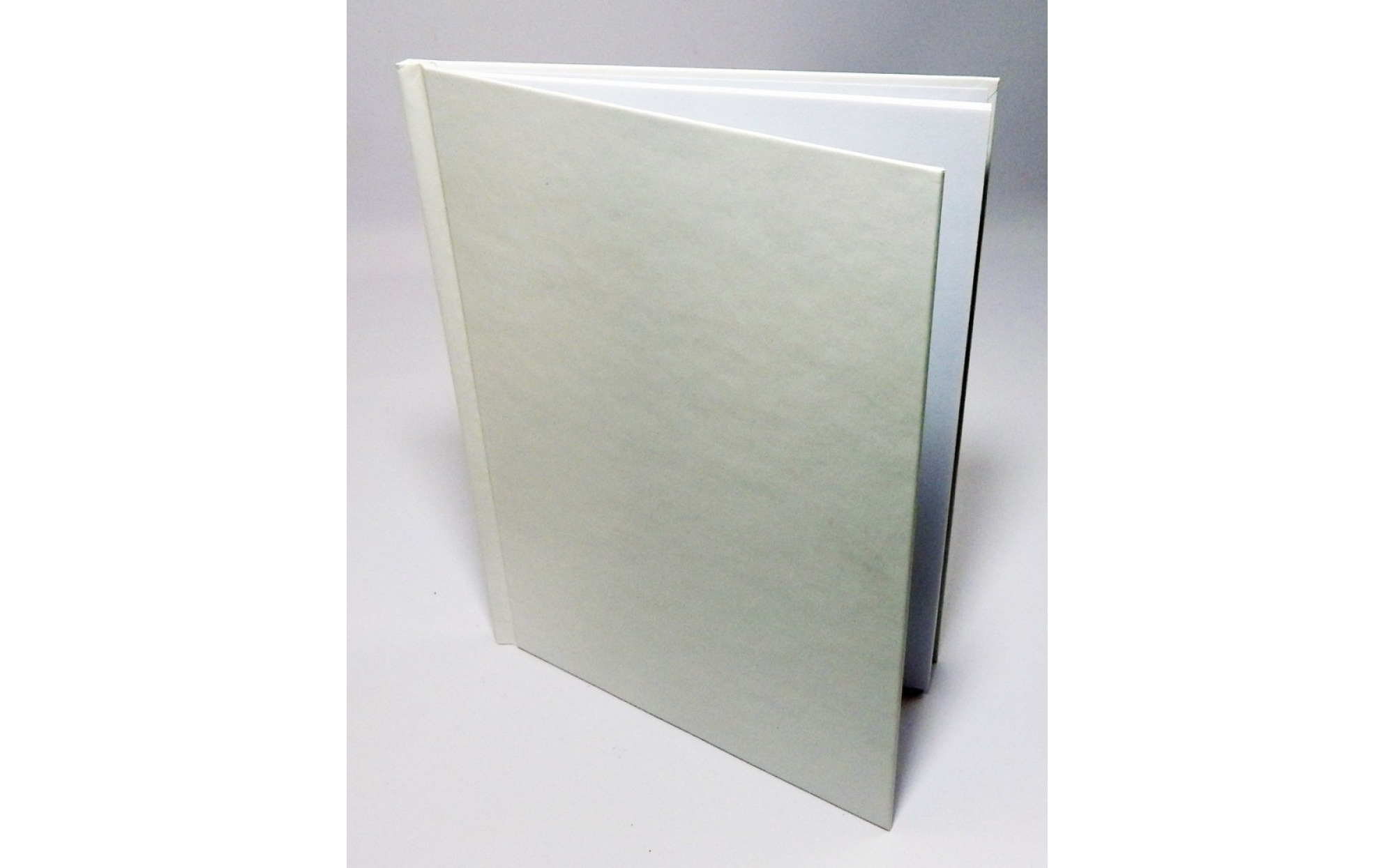 Hardcover Blank Book - Large