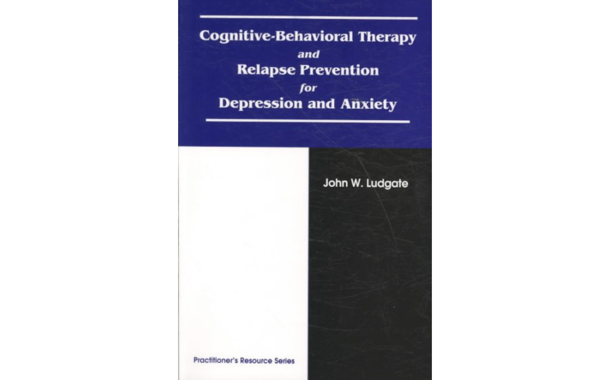 Relapse　Therapy　–　Behavioral　Cognitive　Depression　Anxiety　and　and　for　Prevention　Books
