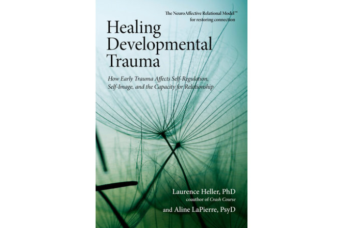 healing developmental trauma heller