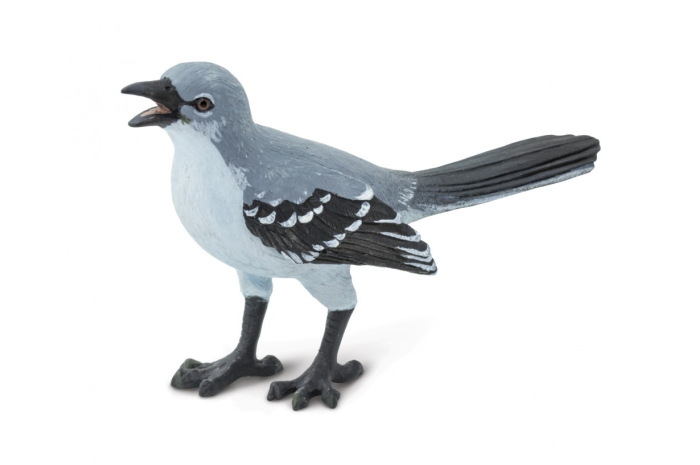 Mockingbird Mockingbird