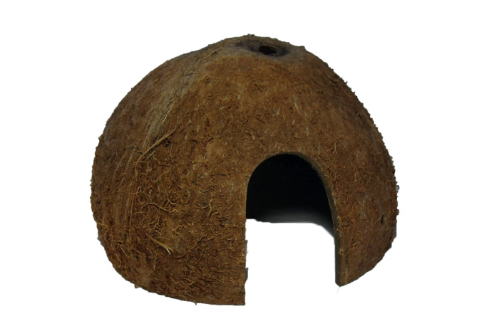 Coconut Cave Coconut Cave