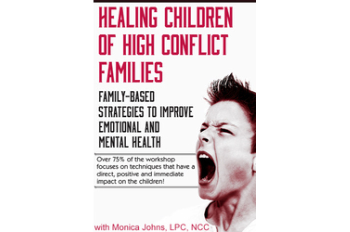 Healing Children of High Conflict Families DVD Healing Children of High Conflict Families DVD