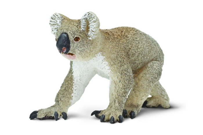 Koala Bear Koala Bear