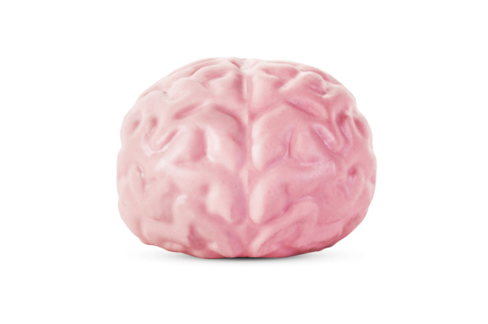 Giant Brain Ball – Child Life Specialist