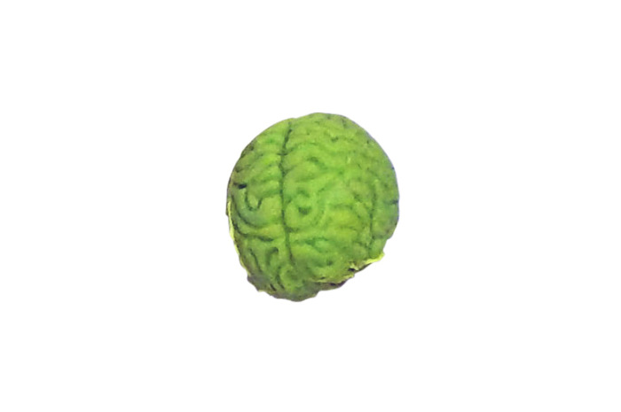 Rubber Brain