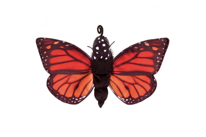 Life Cycle of a Butterfly Reversible Puppet Life Cycle of a Butterfly Reversible Puppet