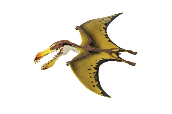 Pterosaur