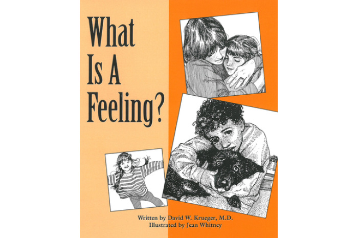 What Is a Feeling? What Is a Feeling?