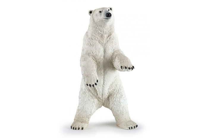 Standing Polar Bear Standing Polar Bear