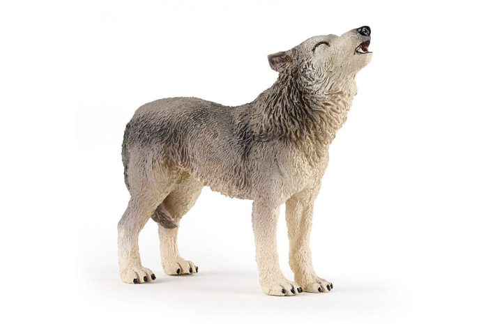 Wolf (Howling) Wolf (Howling)