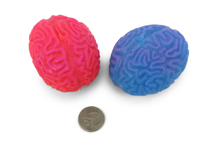 brain squishy ball