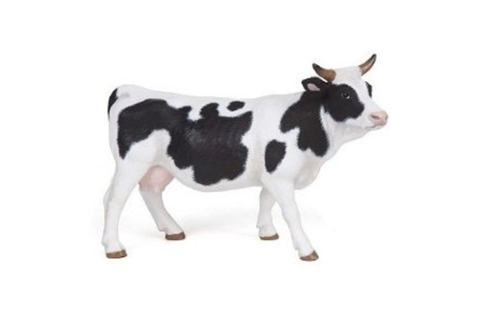 Black and White Cow Black and White Cow