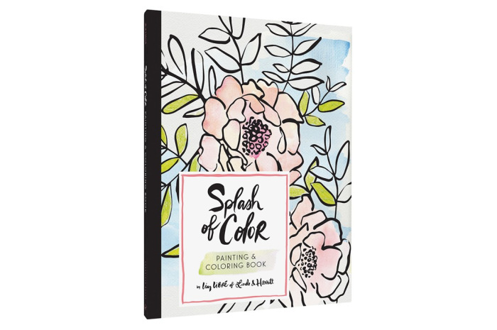 Splash of Color: Painting & Coloring Book Splash of Color: Painting & Coloring Book