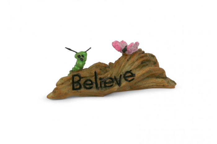Believe in Transformation Believe in Transformation