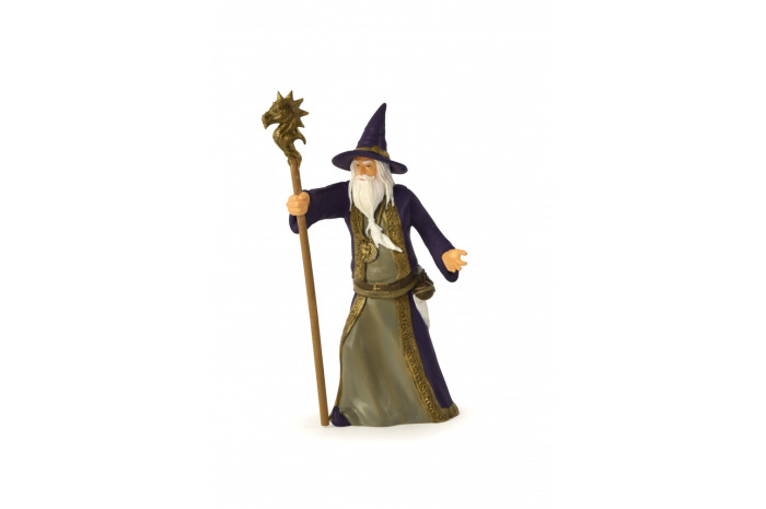 Wizard with Staff Wizard with Staff