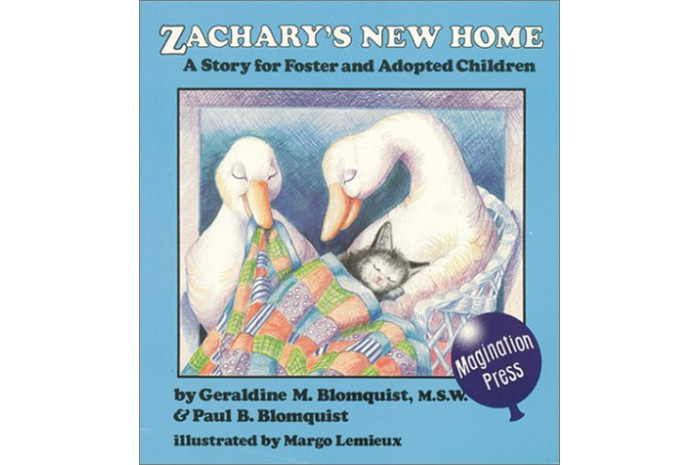 Zachary's New Home: A Story for Foster and Adopted Children Zachary's New Home: A Story for Foster and Adopted Children