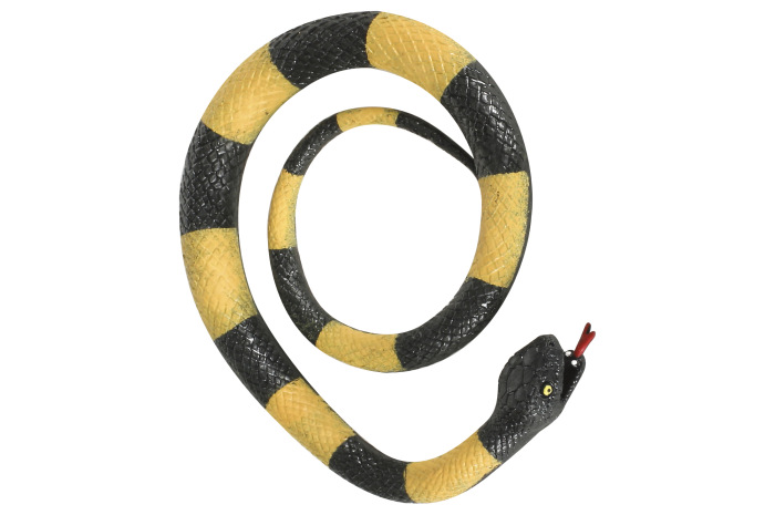 Stretchy Snake Stretchy Snake