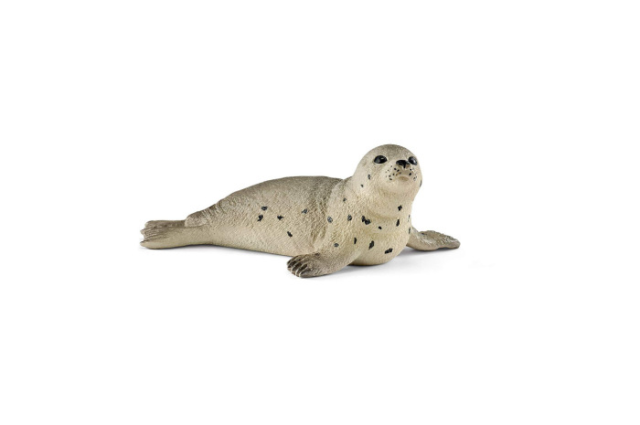 Seal cub Seal cub