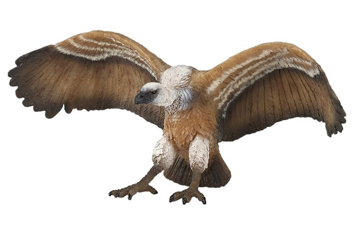 Vulture Vulture