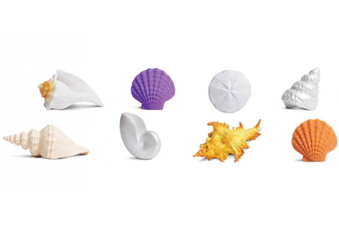 Seashells Toob (8 piece) Seashells Toob (8 piece)