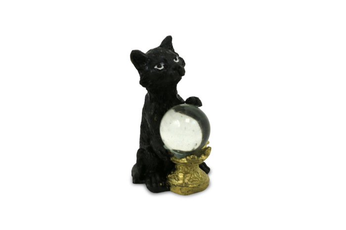 Cat with Crystal Ball