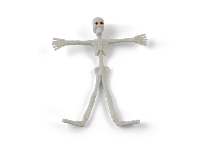 Bendable Skeleton