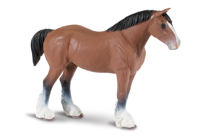 Clydesdale Stallion Clydesdale Stallion