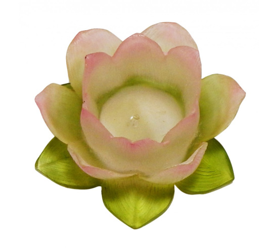 Lotus Flower
