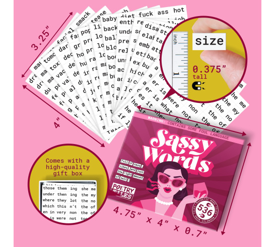 Poetry Tiles Sassy Words Themed Kit 