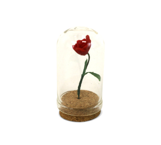 Rose Under Glass